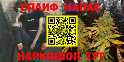 скорость Дубна