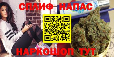 скорость Дубна